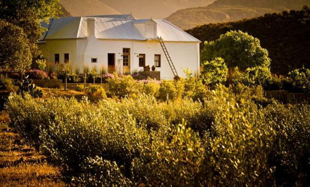 Vrisch Gewagt Boutique Self-Catering Olive Farm Guest House Prince Albert Bagian luar foto