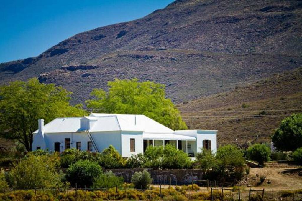 Vrisch Gewagt Boutique Self-Catering Olive Farm Guest House Prince Albert Bagian luar foto