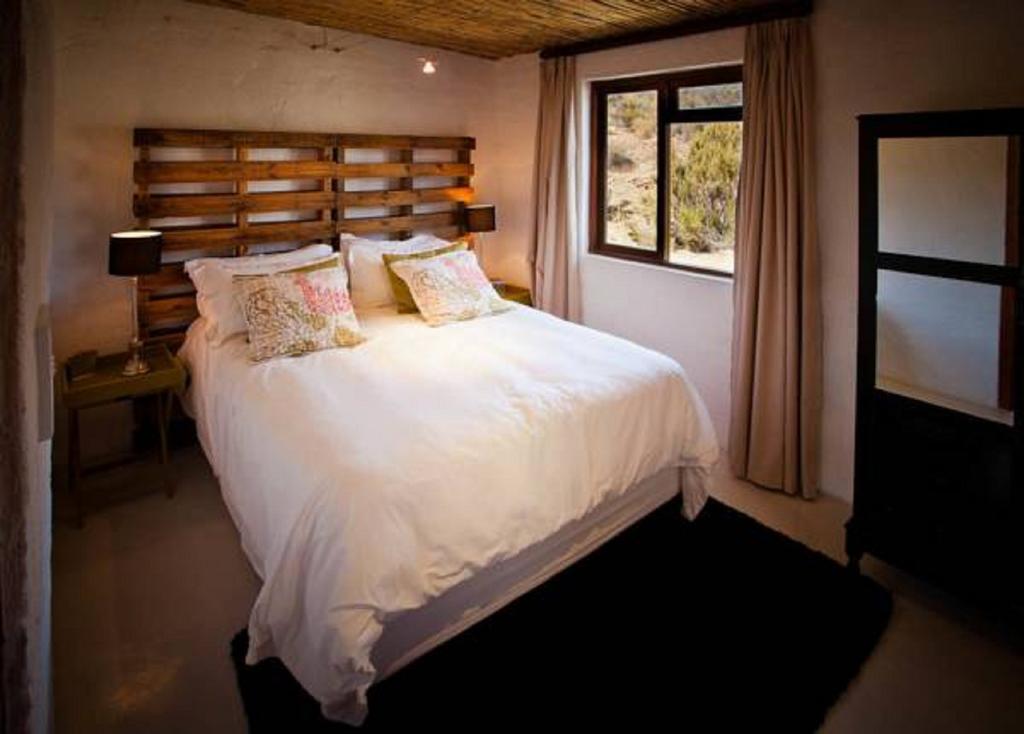 Vrisch Gewagt Boutique Self-Catering Olive Farm Guest House Prince Albert Ruang foto