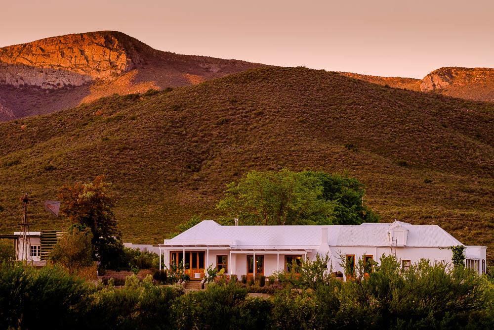 Vrisch Gewagt Boutique Self-Catering Olive Farm Guest House Prince Albert Bagian luar foto